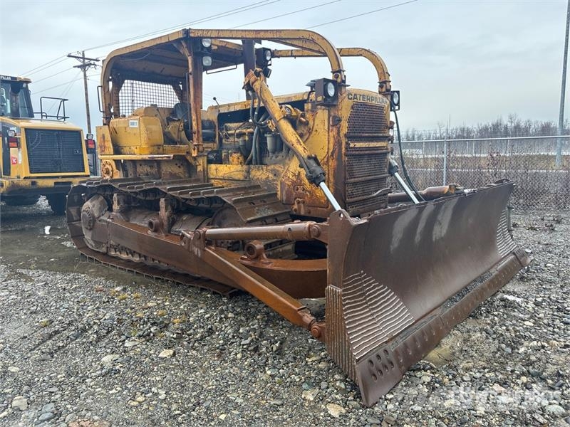 CAT D8 Bulldozer på larvebånd