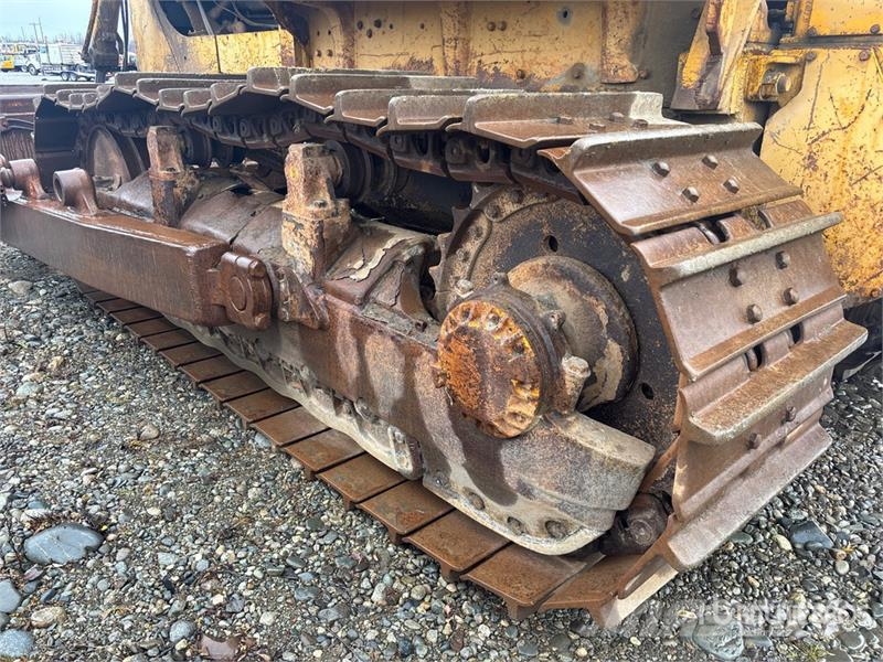 CAT D8 Bulldozer på larvebånd