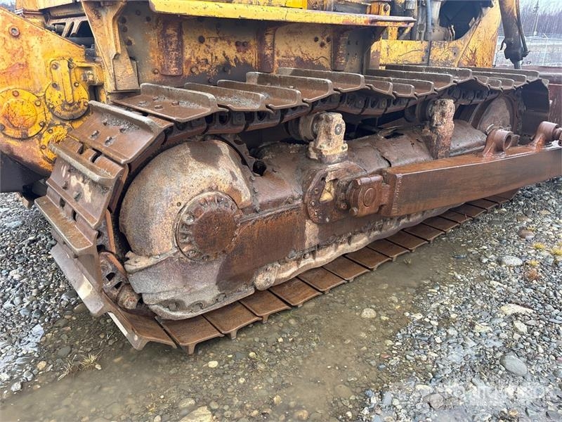CAT D8 Bulldozer på larvebånd