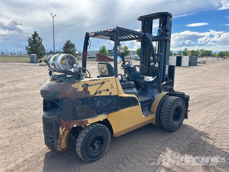 CAT GP55 Pneumatic Tire Forklift Andere Gabelstapler