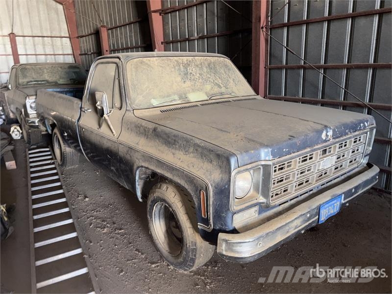 Chevrolet 4x2 Pickup Прочие фургоны