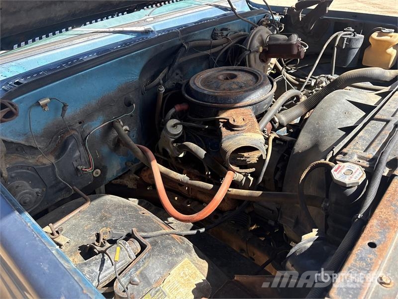 Chevrolet C10 4x2 Pickup Furgoni altro