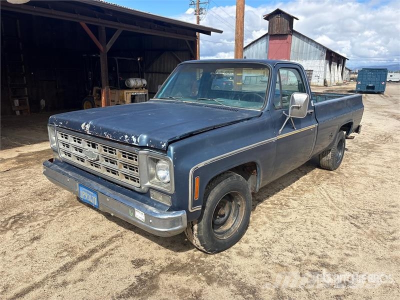 Chevrolet C10 4x2 Pickup Furgoni altro