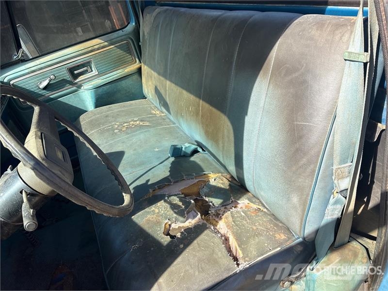 Chevrolet C10 4x2 Pickup Furgoni altro