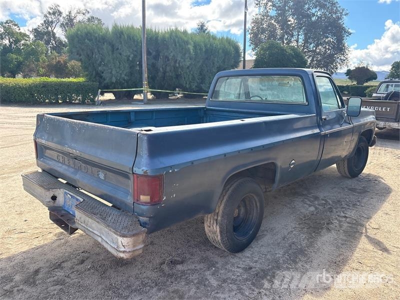 Chevrolet C10 4x2 Pickup Furgoni altro