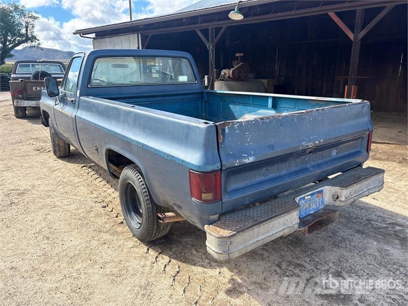 Chevrolet C10 4x2 Pickup Furgoni altro