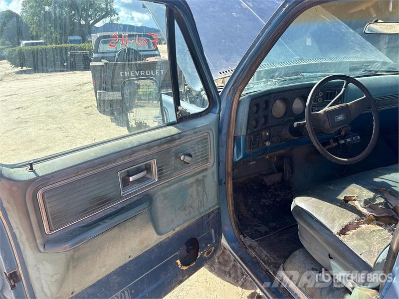 Chevrolet C10 4x2 Pickup Furgoni altro