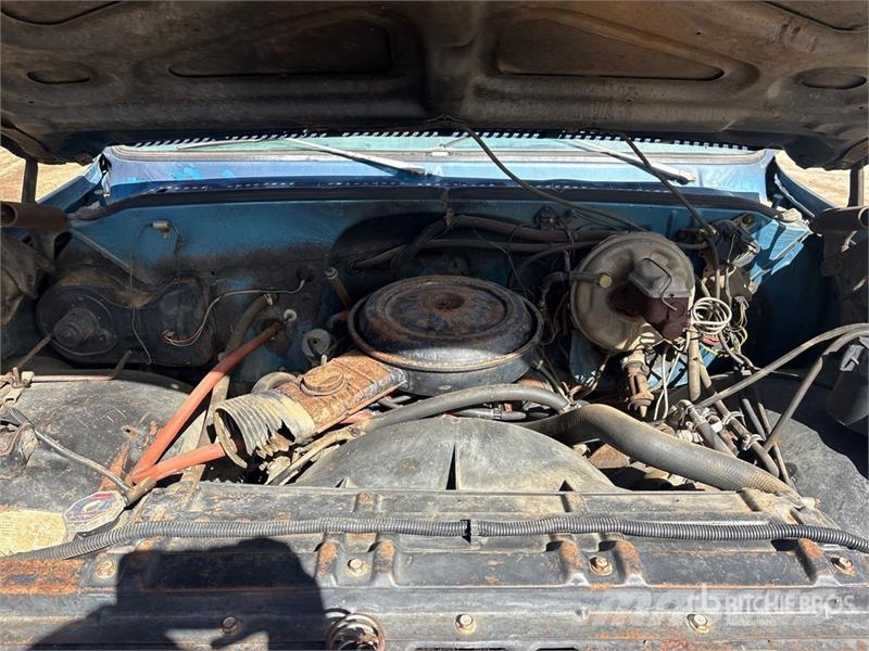 Chevrolet C10 4x2 Pickup Furgoni altro
