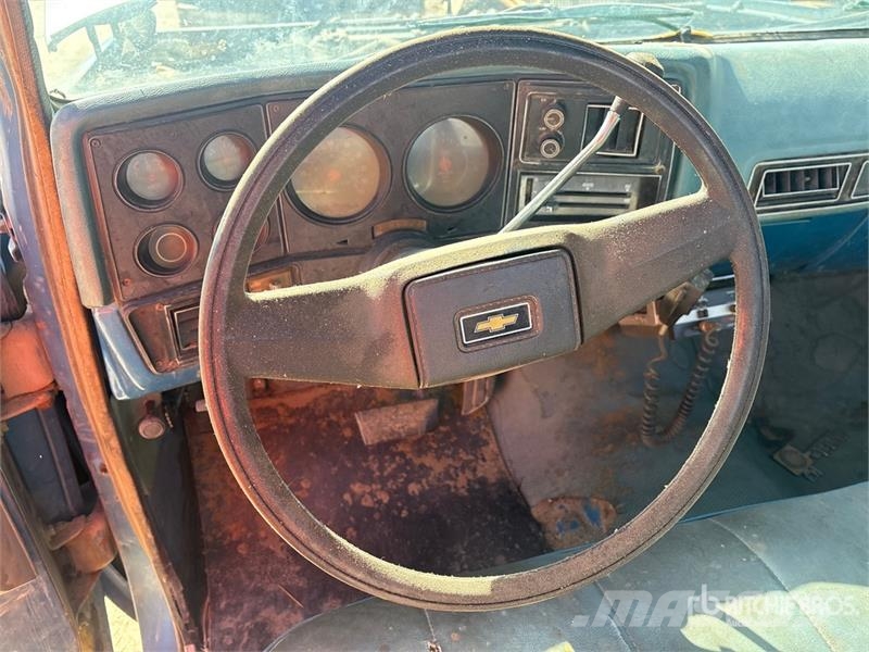 Chevrolet C10 4x2 Pickup Furgoni altro