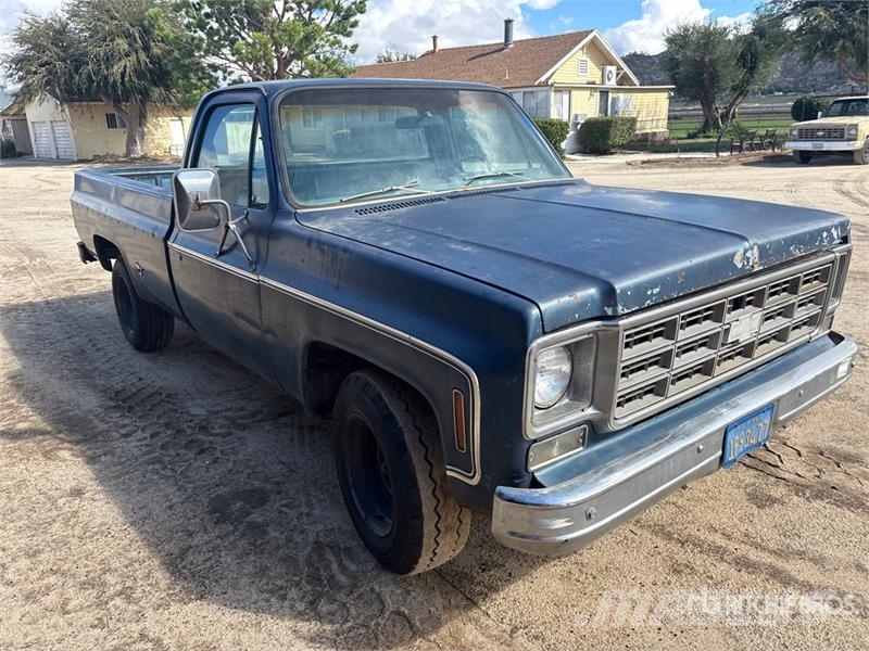 Chevrolet C10 4x2 Pickup Furgoni altro