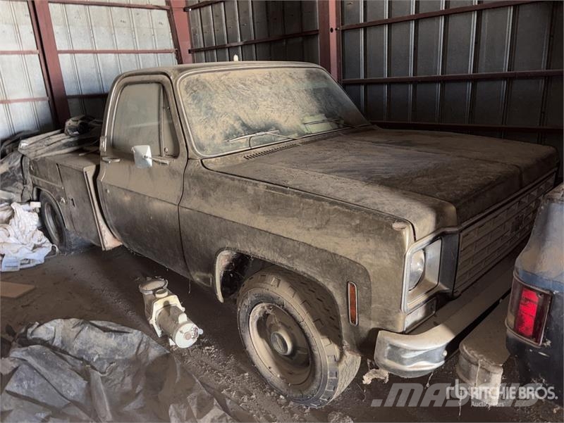 Chevrolet C20 Kis teherszállító/Platós kocsi