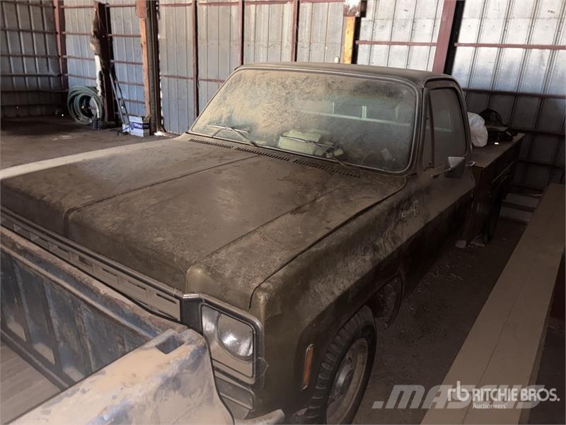 Chevrolet C20 Kis teherszállító/Platós kocsi