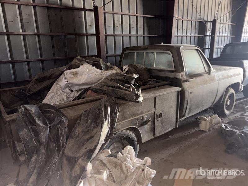 Chevrolet C20 Kis teherszállító/Platós kocsi