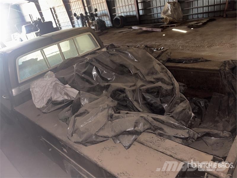 Chevrolet C20 Kis teherszállító/Platós kocsi