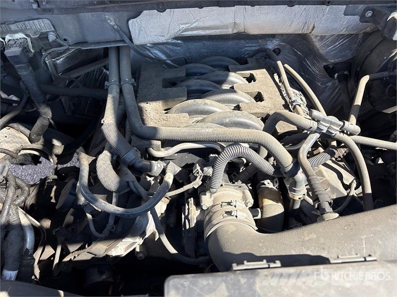 Ford F-150 Platinum 4x4 Crew Cab Pickup 其他