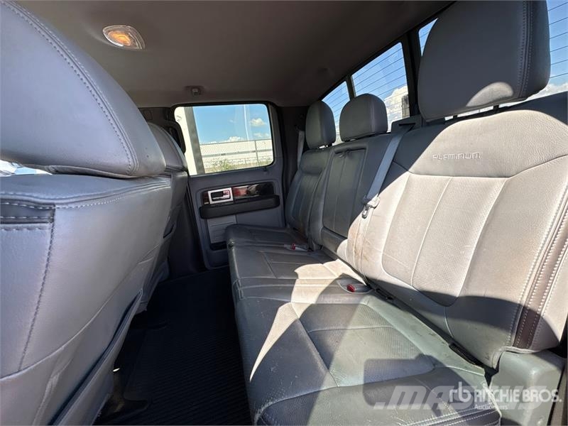 Ford F-150 Platinum 4x4 Crew Cab Pickup 其他