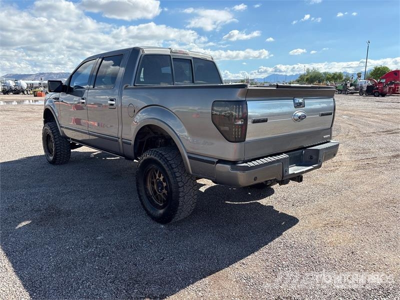 Ford F-150 Platinum 4x4 Crew Cab Pickup 其他
