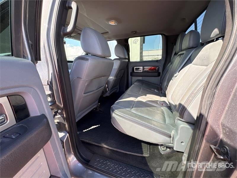 Ford F-150 Platinum 4x4 Crew Cab Pickup 其他
