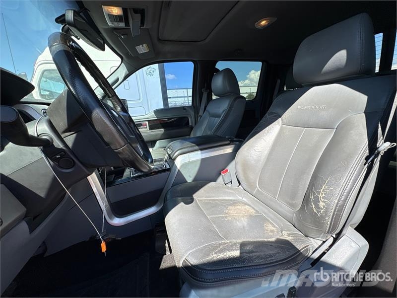 Ford F-150 Platinum 4x4 Crew Cab Pickup 其他