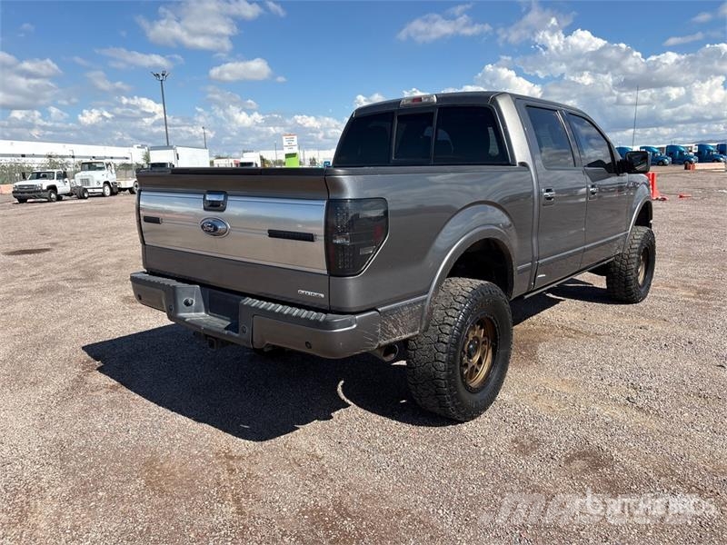 Ford F-150 Platinum 4x4 Crew Cab Pickup 其他