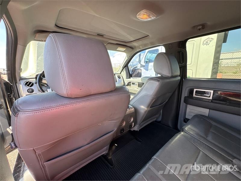 Ford F-150 Platinum 4x4 Crew Cab Pickup 其他