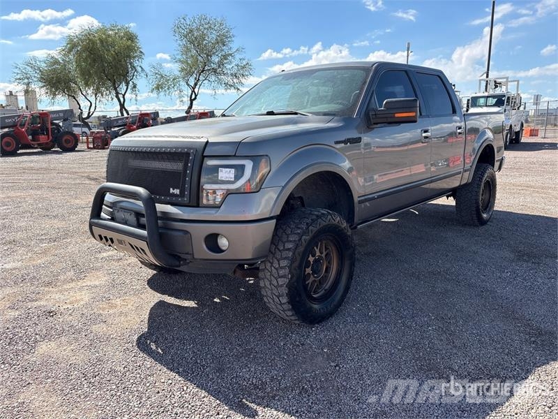 Ford F-150 Platinum 4x4 Crew Cab Pickup 其他