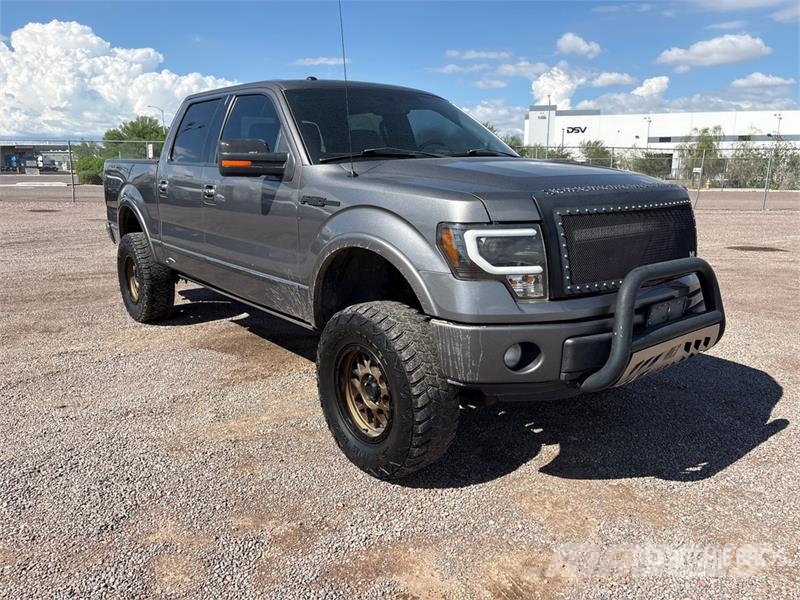 Ford F-150 Platinum 4x4 Crew Cab Pickup 其他