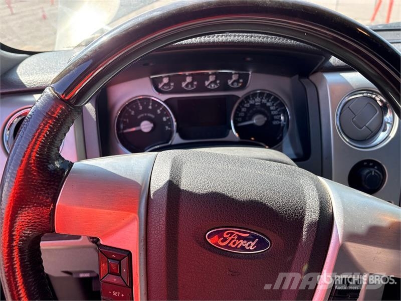 Ford F-150 Platinum 4x4 Crew Cab Pickup 其他