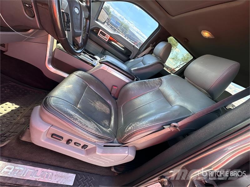 Ford F-150 Platinum 4x4 Crew Cab Pickup 其他