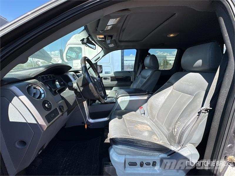 Ford F-150 Platinum 4x4 Crew Cab Pickup 其他