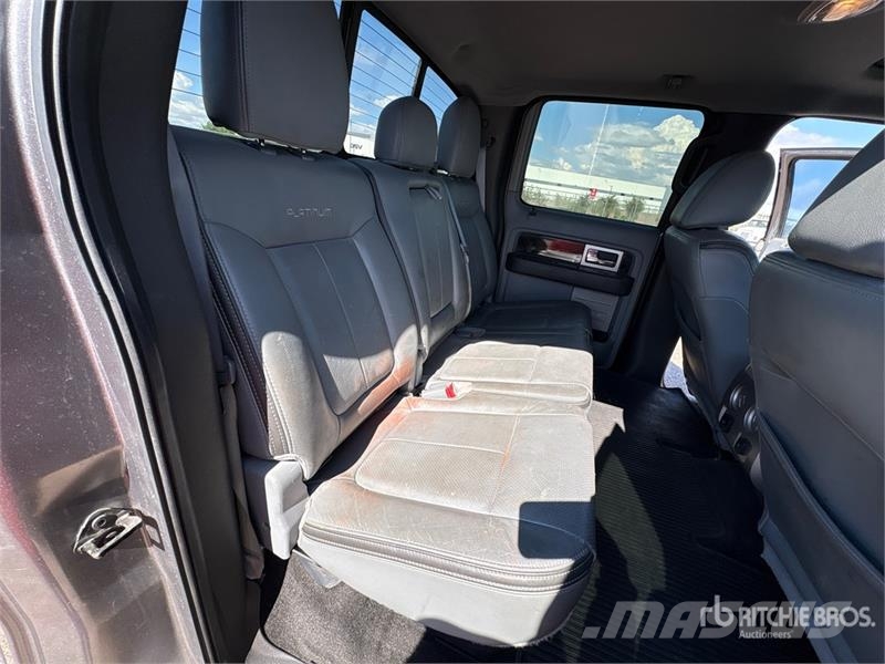 Ford F-150 Platinum 4x4 Crew Cab Pickup 其他