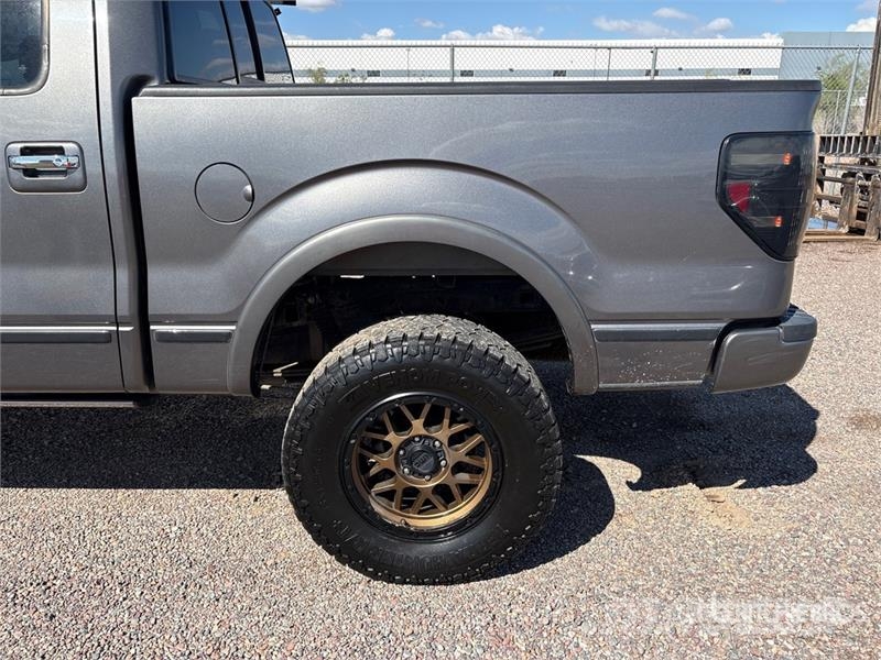 Ford F-150 Platinum 4x4 Crew Cab Pickup 其他