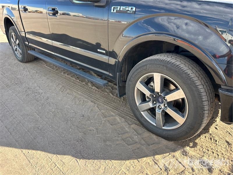 Ford F-150 XLT 4x4 Crew Cab Pickup 其他