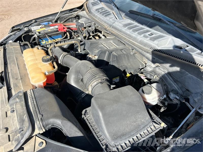 Ford F-150 XLT 4x4 Crew Cab Pickup 其他