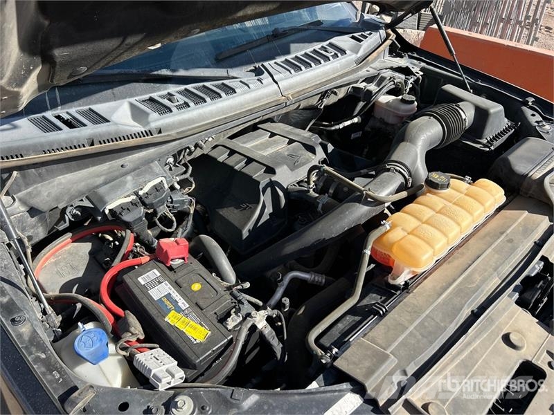 Ford F-150 XLT 4x4 Crew Cab Pickup 其他