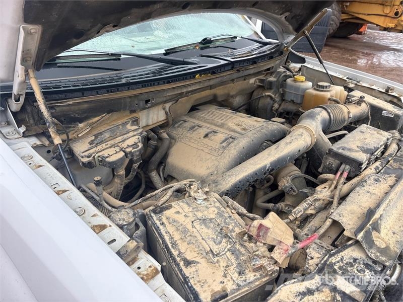 Ford F-150 XLT 4x4 Crew Cab Pickup Drugi