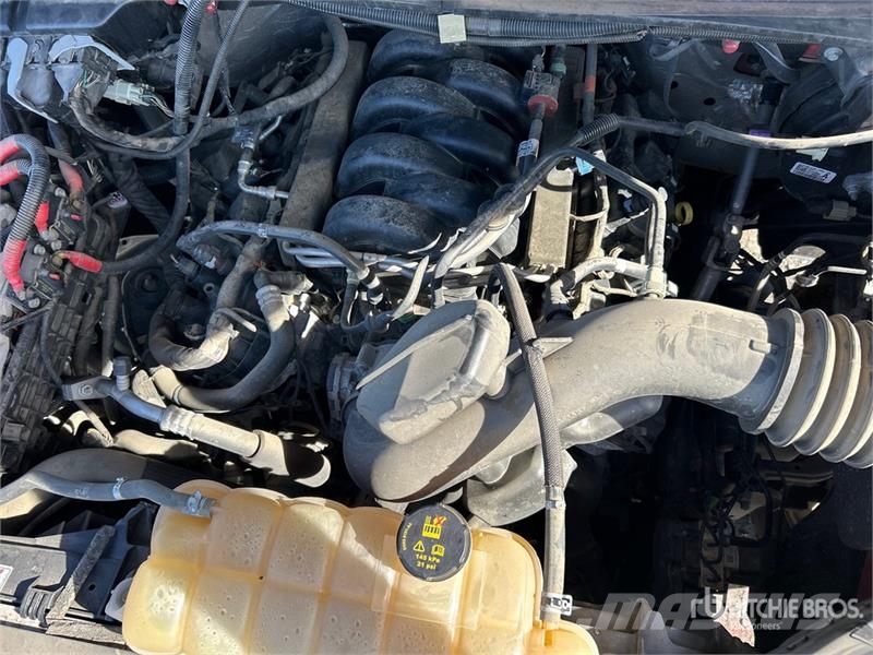 Ford F-150 XLT 4x4 Crew Cab Pickup 其他