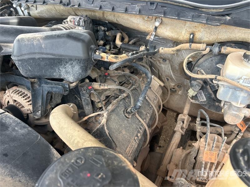 Ford F-250 Camiones de cama baja