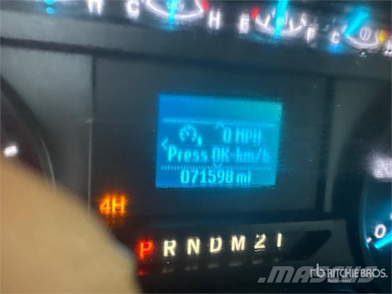 Ford F-250 Ciężarówki typu Platforma / Skrzynia