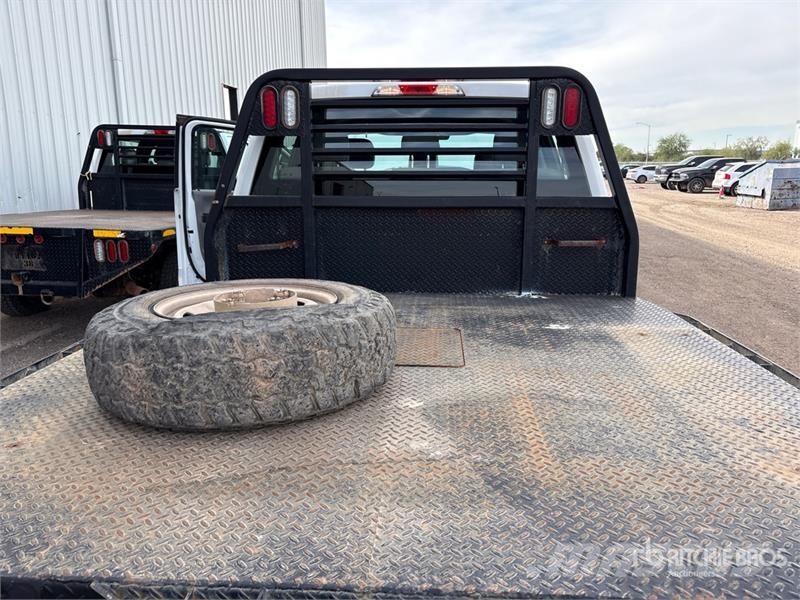 Ford F-250 Camiones de cama baja
