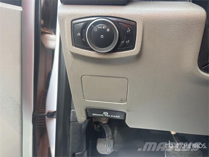 Ford F-250 Ciężarówki typu Platforma / Skrzynia