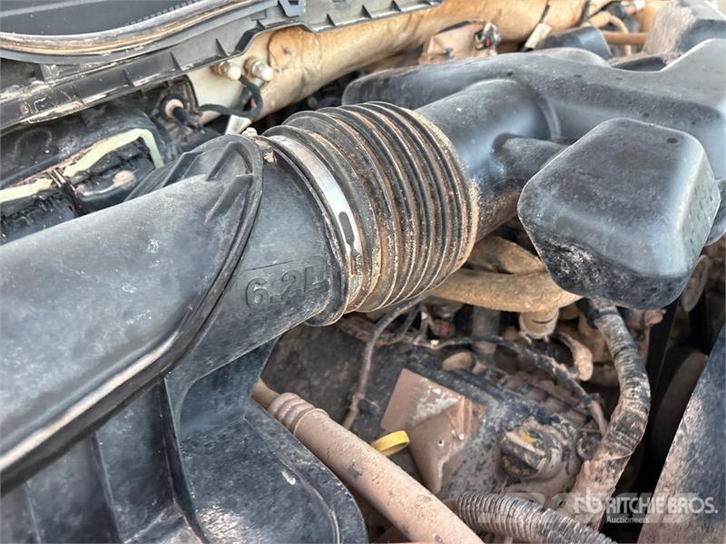 Ford F-250 Camiones de cama baja
