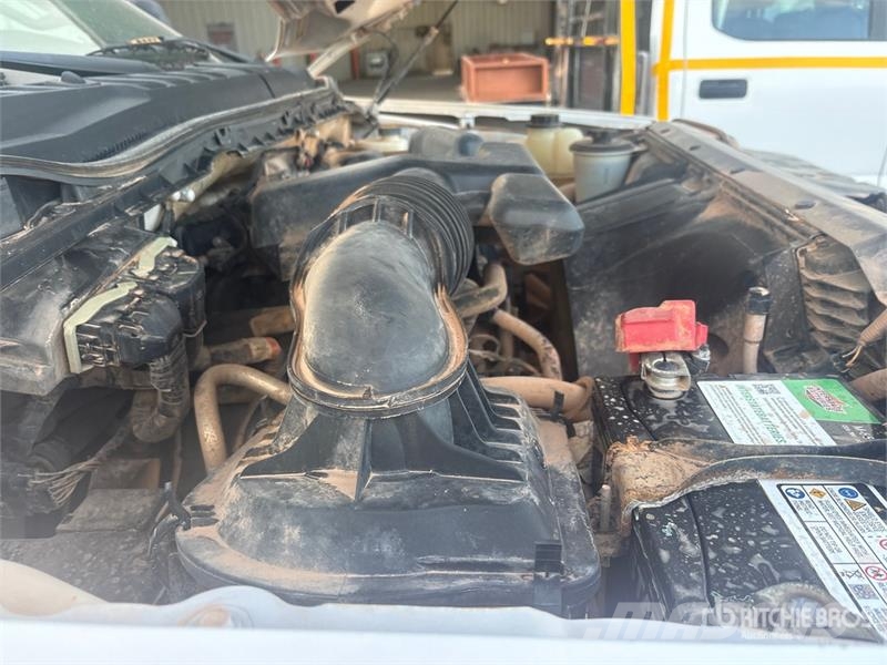 Ford F-250 Ciężarówki typu Platforma / Skrzynia