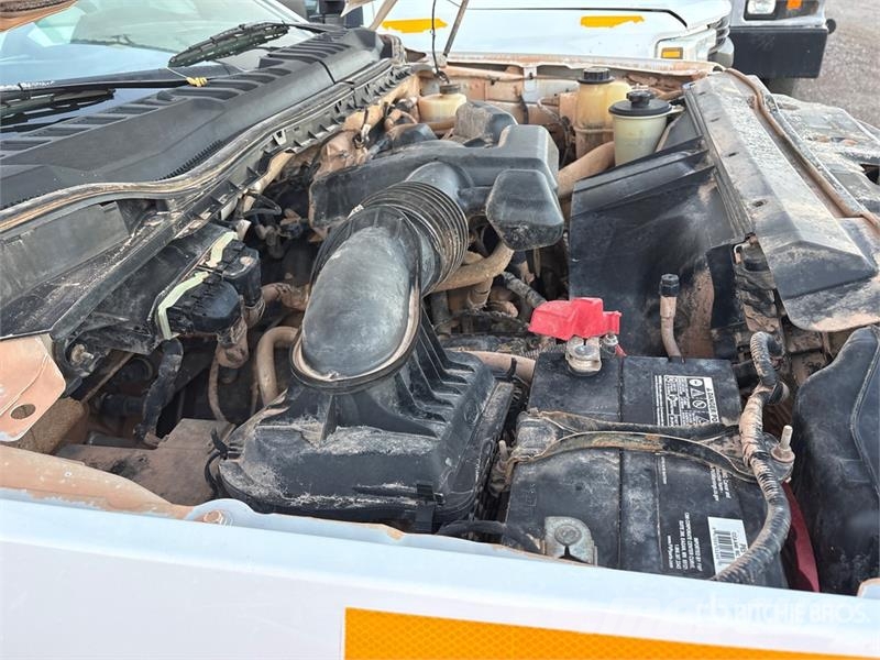 Ford F-250 Camiones de cama baja