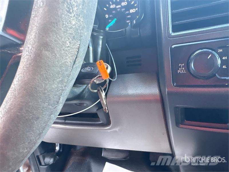 Ford F-250 Ciężarówki typu Platforma / Skrzynia