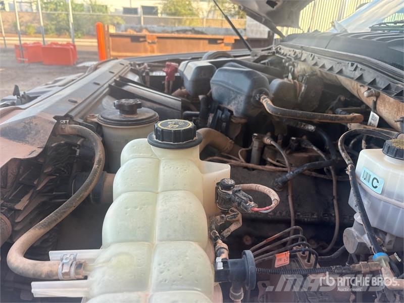 Ford F-250 Ciężarówki typu Platforma / Skrzynia