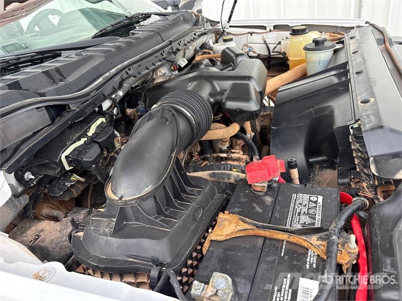 Ford F-250 XL 4x4 Crew Cab Pickup Citi