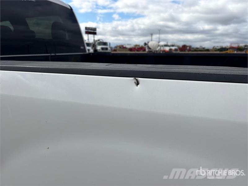 Ford F-250 XLT 4x4 Crew Cab Pickup Drugi