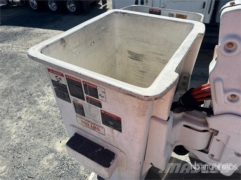 Freightliner Altec At37G 37 ft on Freightliner M2 4x2 Bucket T Camion nacelle