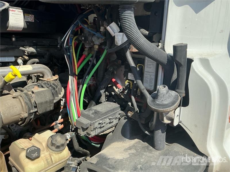 Freightliner Cascadia 113 Sattelzugmaschinen